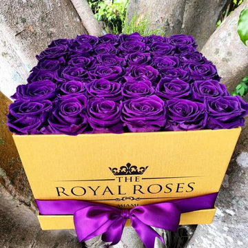 Once in a Lifetime – The Royal Roses Experience