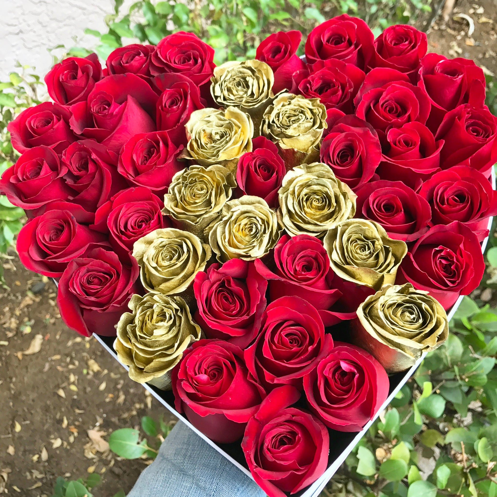 Roses: The Symbol of Love