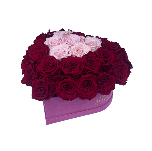 Dome Heart Long Lasting Rose Box - Lifetime is Over 1 Year - The Royal Roses 