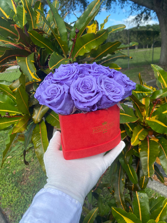 Dome Mini Heart Shaped Box -Real Long Lasting Roses - Lifetime is Over 1 Year - The Royal Roses 