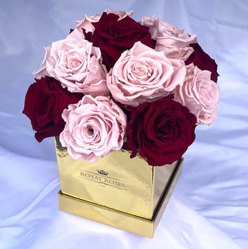 Dome Mini Square Shaped Box -Real Long Lasting Roses - Lifetime is Over 1 Year - The Royal Roses 