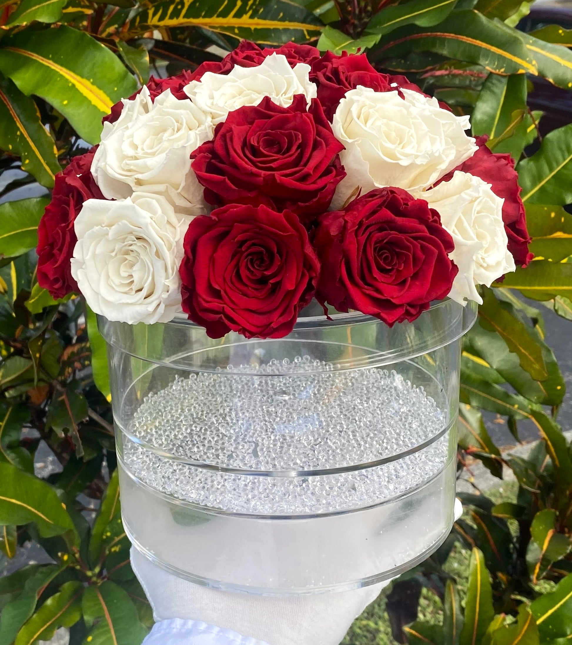 Dome Acrylic  Luxury Round Box - The Royal Roses 
