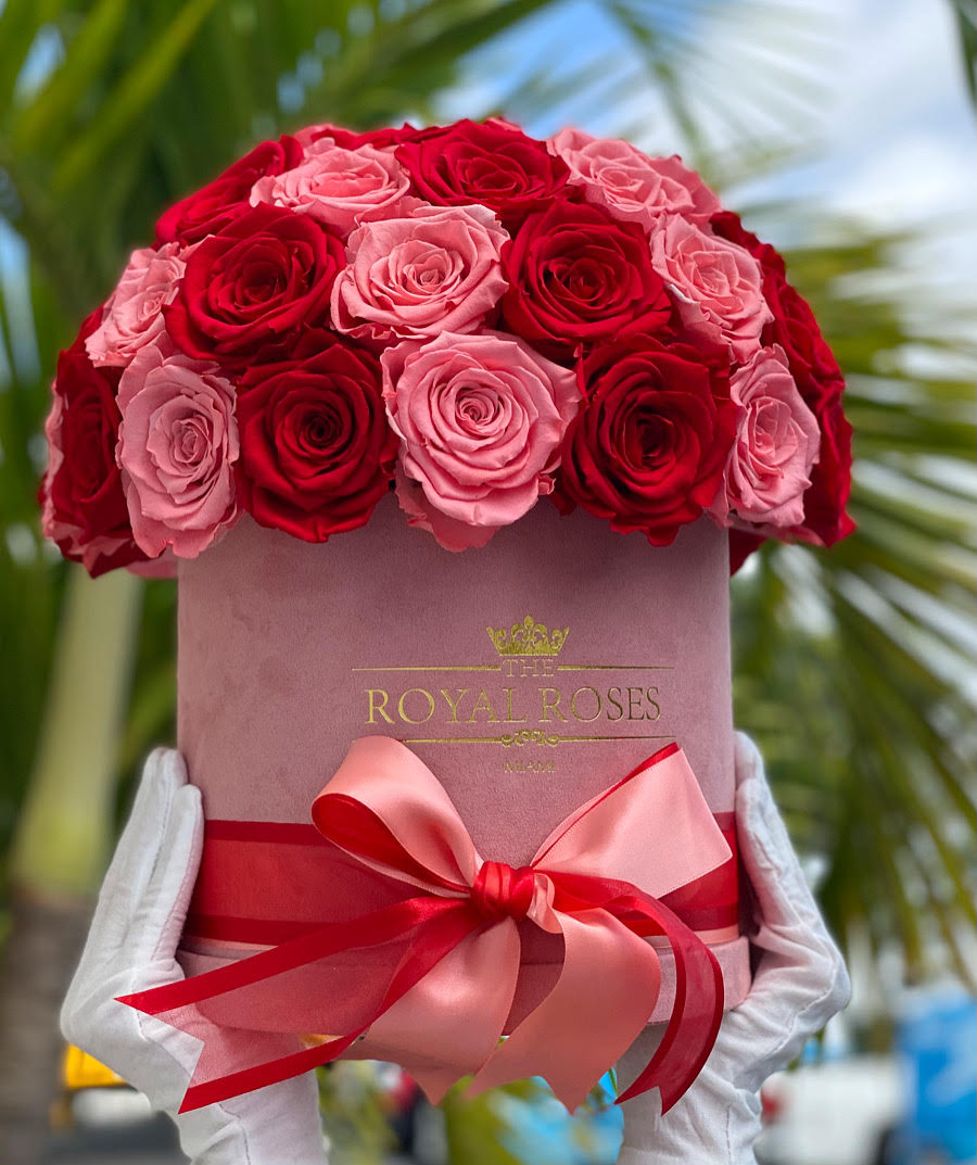 Dome Large Roses- Round Box - Lifetime is Over 1 Year - The Royal Roses 